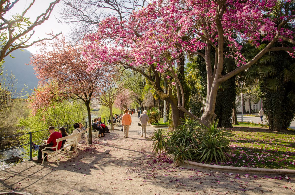 Die Winterpromenade in Meran